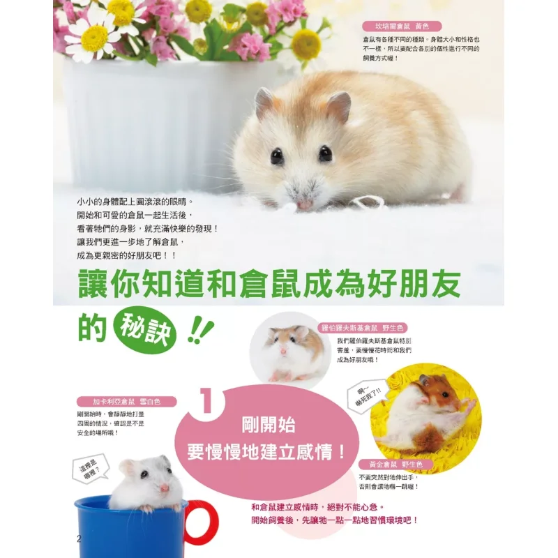The Happy Rearing Method Of Hamsters Classic Edition Huo Ye Jin Ji Han Xin 9789576869518 Book