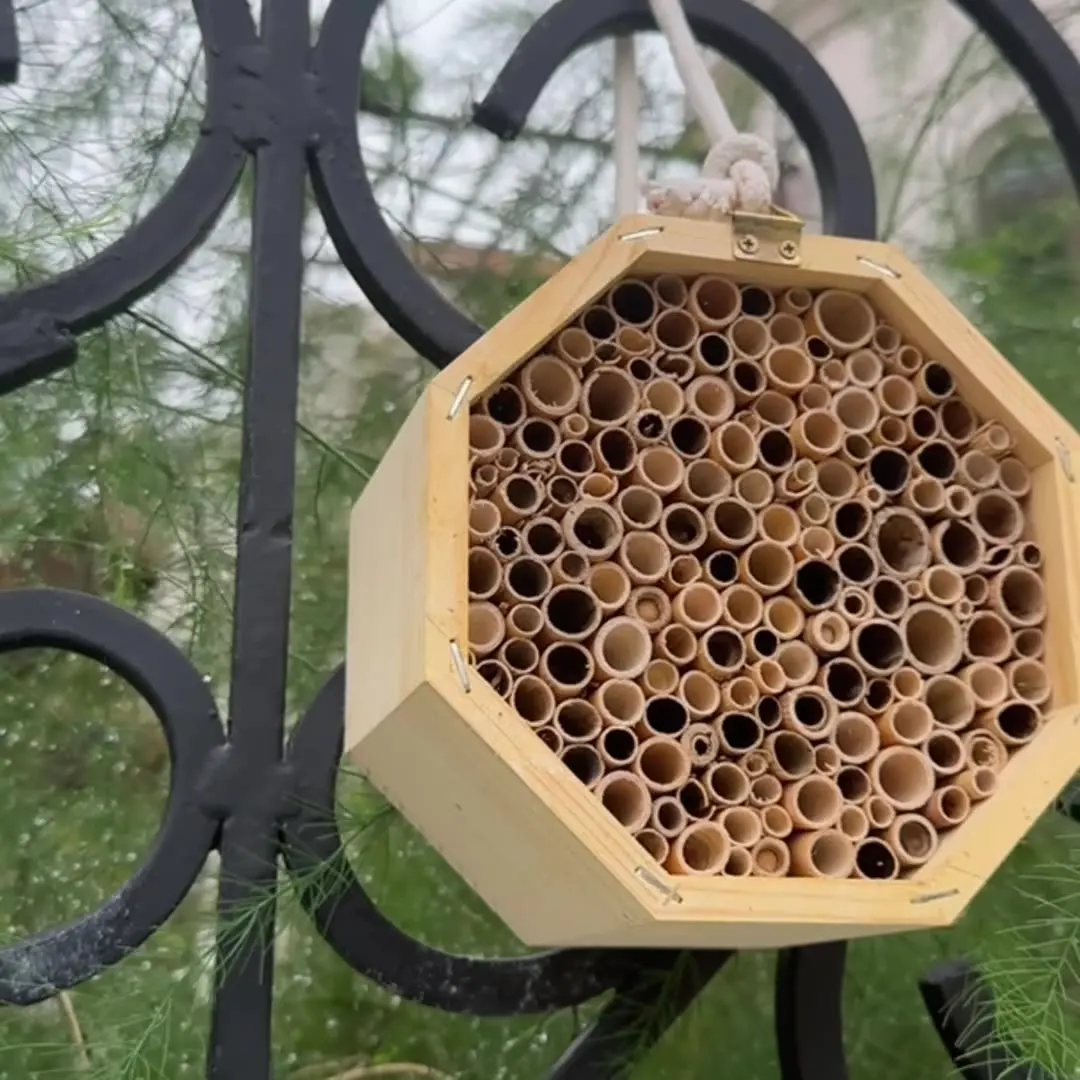 Wooden Beehive Bee House Outdoor Pet Cages Insect House Flying Insect House for Bees Butterflies