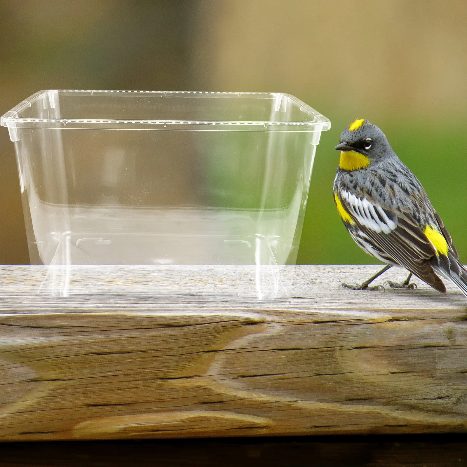 

1pcs Birdcage Splash Guard Reusable Acrylic Cover For Bird Cage Protection Transparent Feeder Cage Accessories