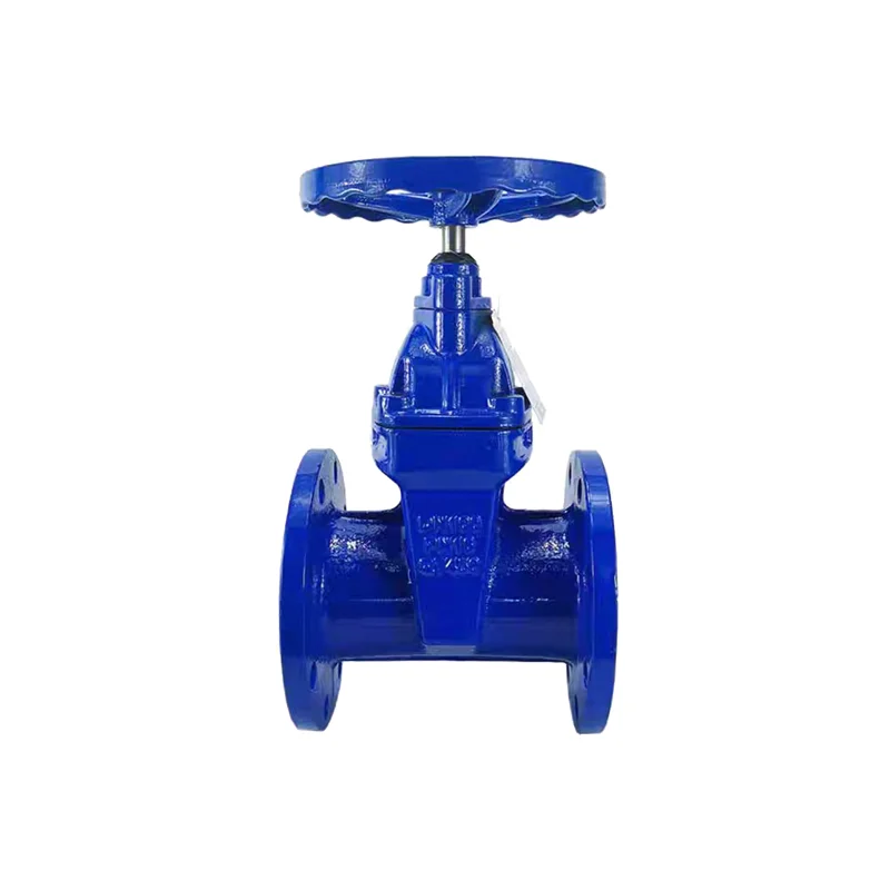 

Ductile iron flange gate valve Cast iron soft seal gate valve Flange rising stem soft seal gate valve