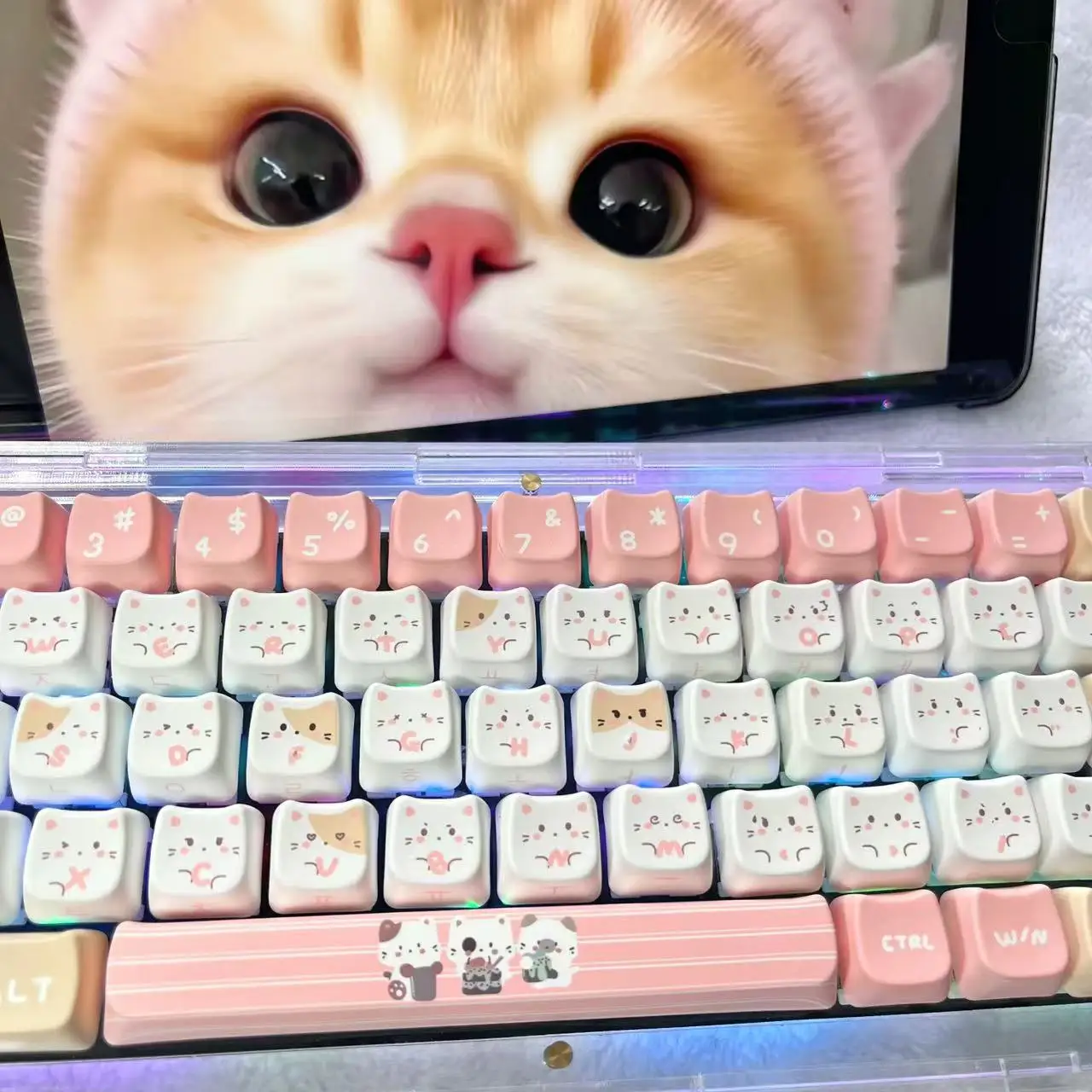 

120-клавишные милые корейские колпачки для клавиш с морской солью и котом, белые, розовые колпачки для клавиш, черно-розовые колпачки для клавиш с боковым принтом MAO, индивидуальная механическая колпачок для клавиатуры