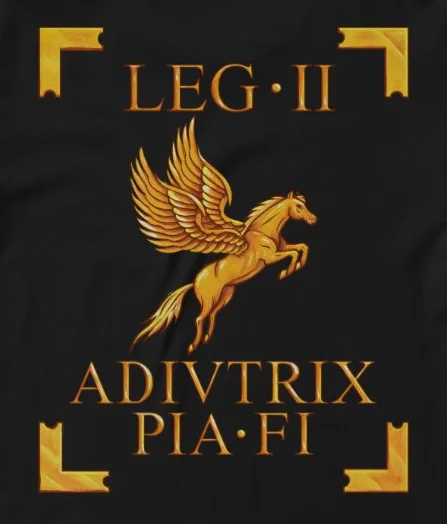 The 2nd Legion, Adiutrix Pia Fidelis. With Pegasus Displayed on The Back As A Legionary Vexillum T Shirt. 100% Cotton T-shirt