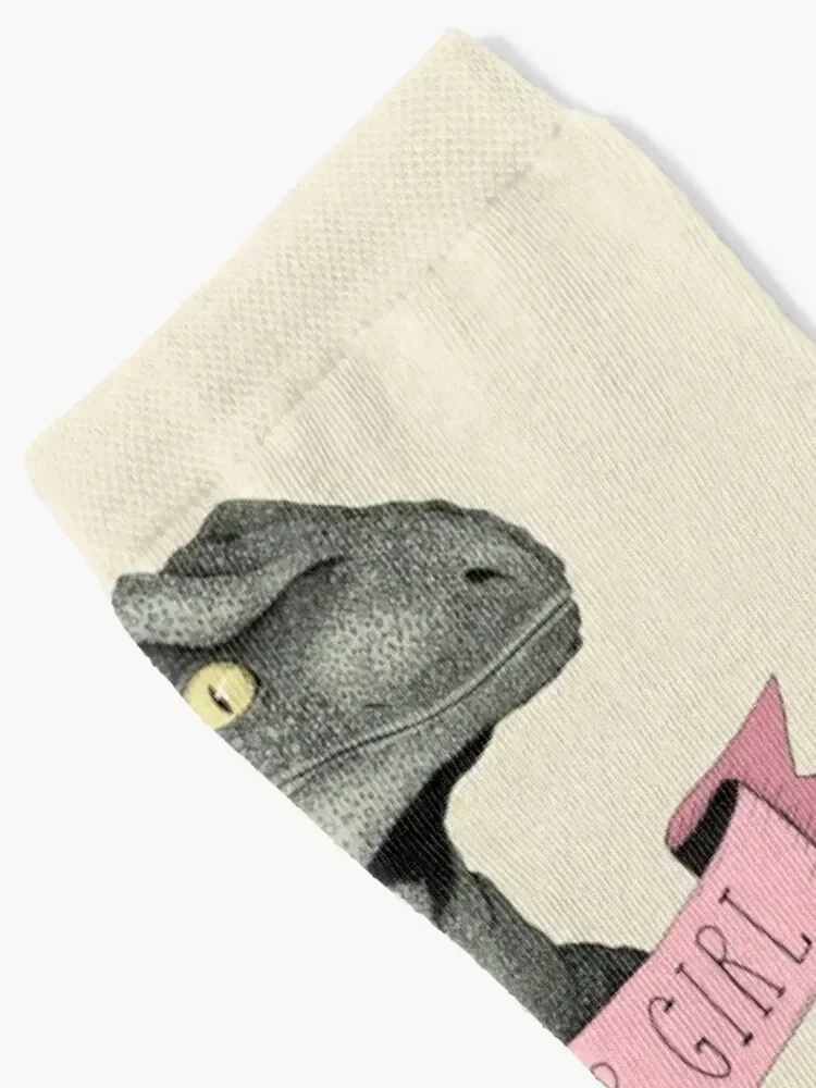 Clever Girl raptor dinosaur Socks Wholesale professional running gift christmas gifts Socks For Women Men's