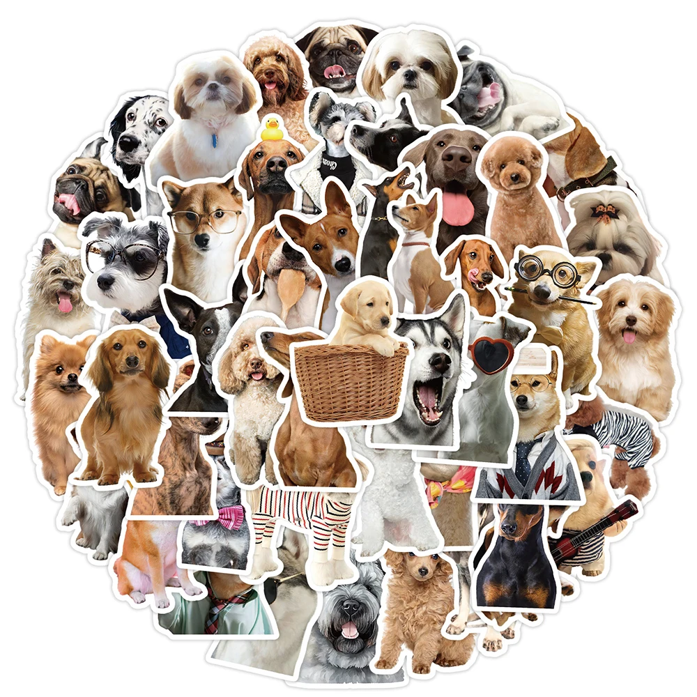 10/30/50 Stück Niedliche Lustige Tier-Hunde-Meme-Aufkleber Wasserdicht DIY Wasserflasche Handy Notizbuch Laptop Kawaii Welpen Graffiti-Aufkleber