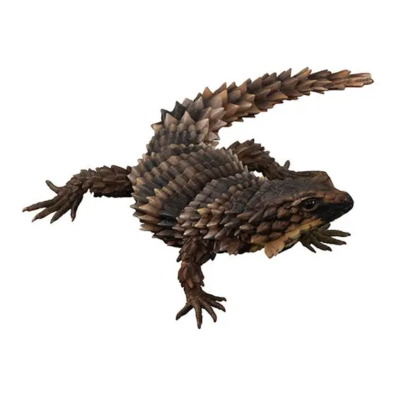Genuine Gacha Scale Model Biological Cognitive Model Armadillo Wall Lizard Movable Decoration Action Figure Toys