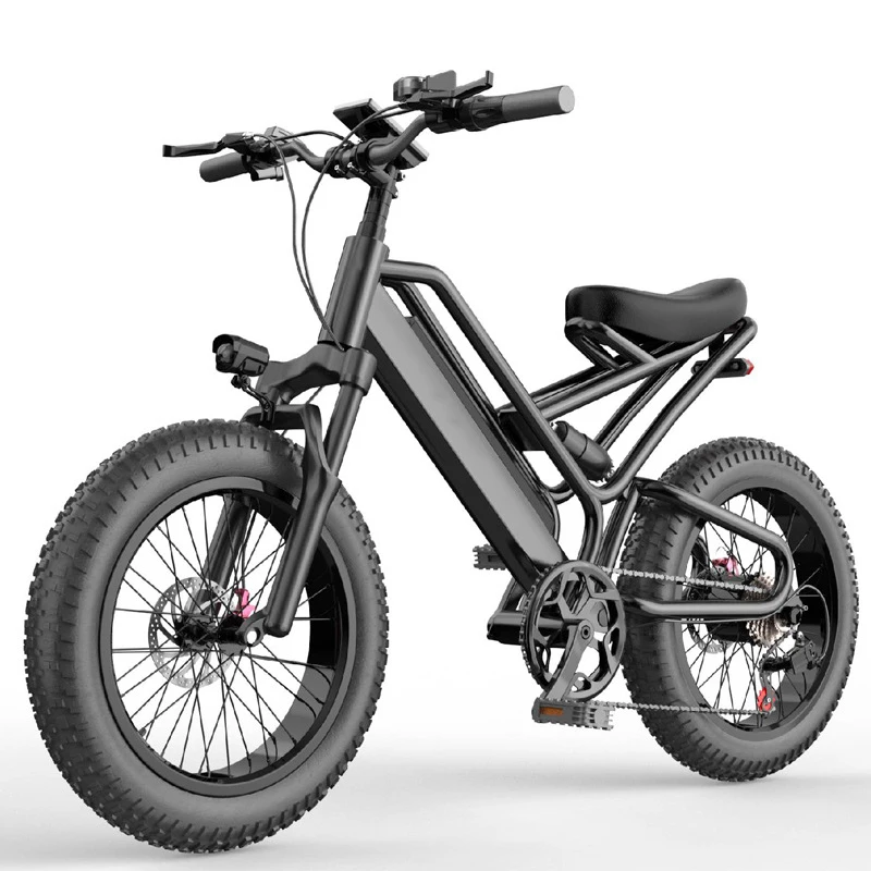 

FEIVOS Q1 Off-road electric bike Aluminium alloy 20"Snow tire E bike 48V Dual shock absorber Electric bicycle