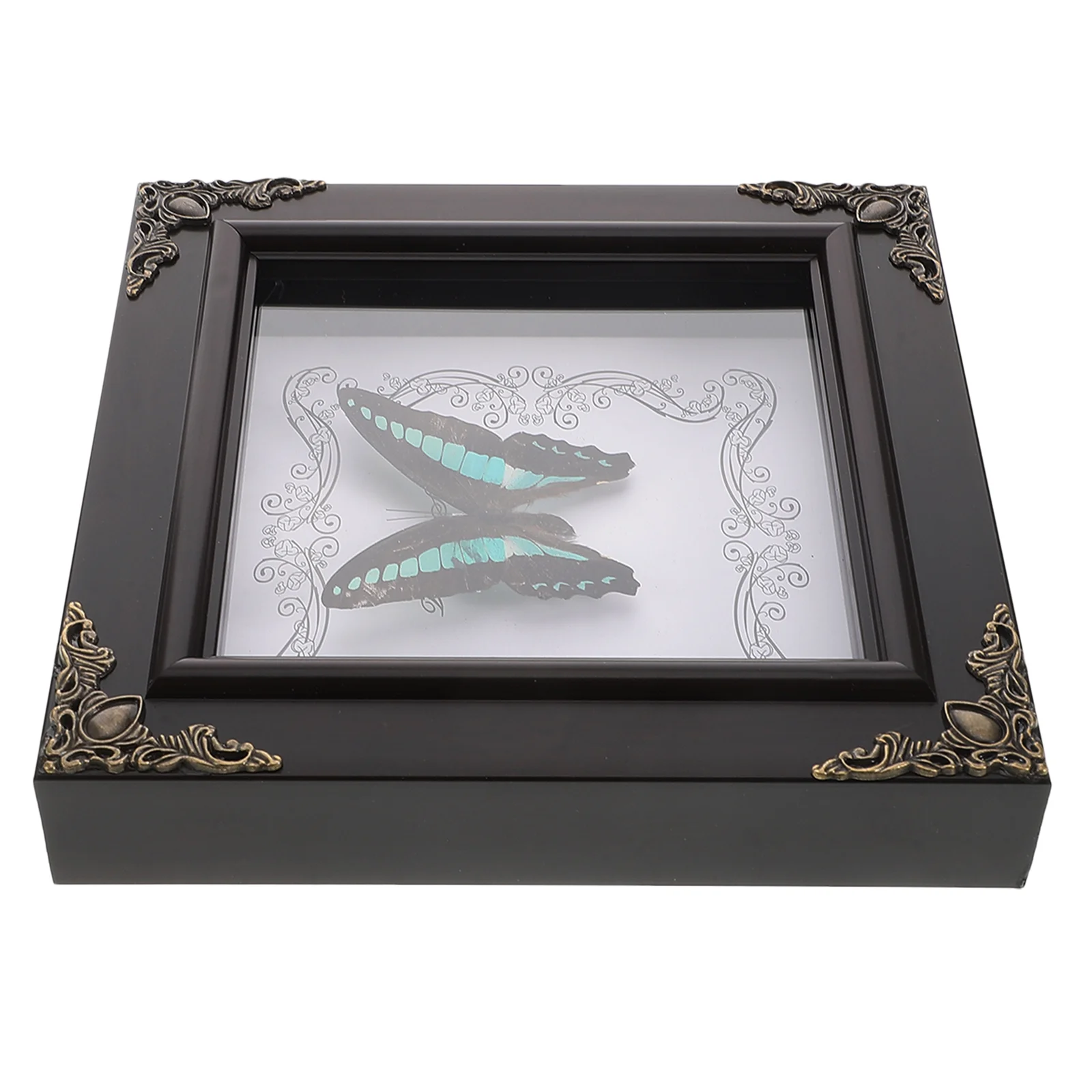 

Butterfly Photo Frame Real Framed Retro Decor Display Stand Household Case Specimen Wooden