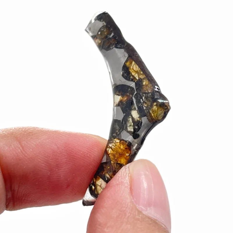 Seymchan Pallasite Meteorite Slice Natural Olivine Meteorite Specimen Polished Irregular Curved Space Rock Collection CA117