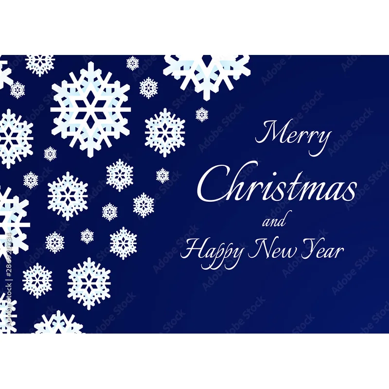 Christmas Theme Photography Background Snowflake Wood Plank Portrait Backdrops For Photo Studio Props 21121 TU-02