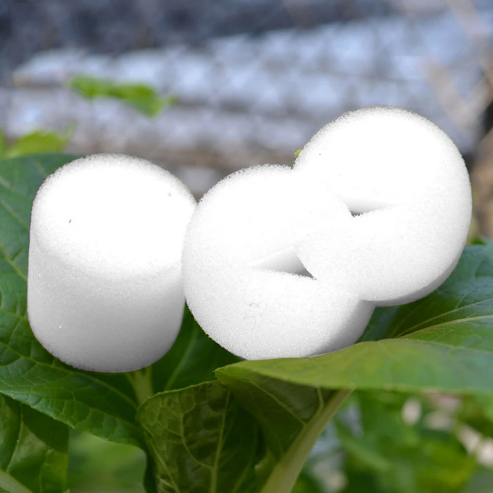 Net Cup Containers with Root-Guiding Slotted Design and Sponge Blocks for Consistent Moisture and Aeration in Hydroponics