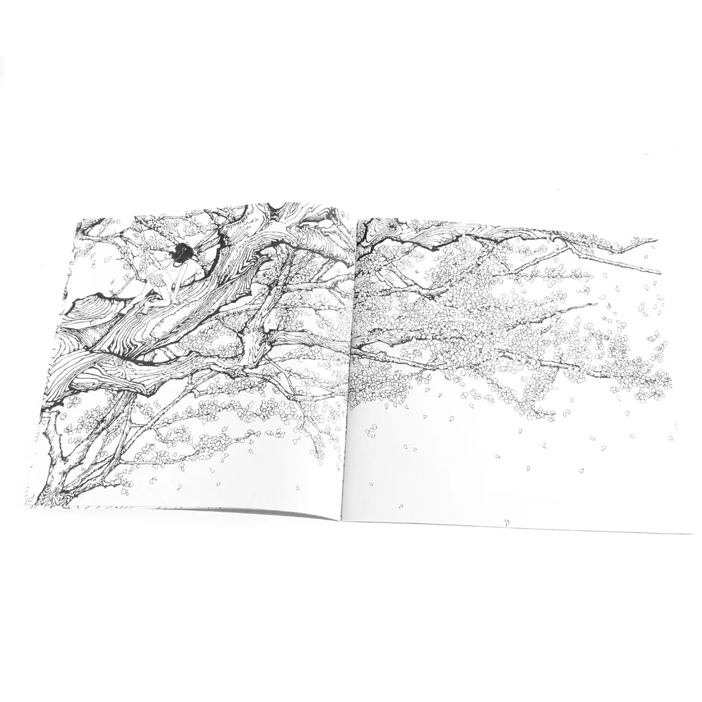 Livre pour enfants  Coloring Book Peinture English Books  Mandalas