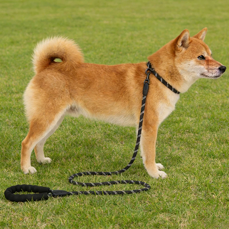 Reflective nylon dog leash, explosion-proof, comfortable round rope, pet walking leash, outdoor non-retractable