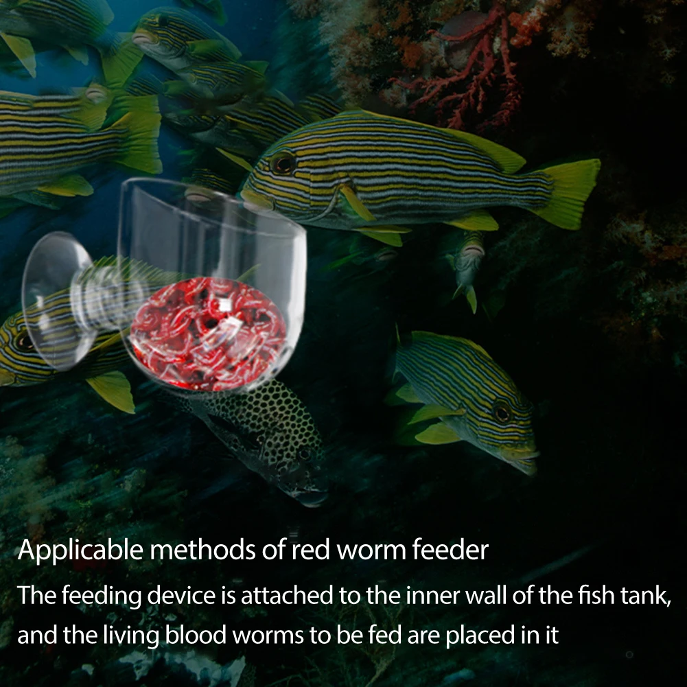 

Transparent Glass Fish Food Bowl Red Worm Cup With Strong Suction Cup Tank Supplies Transparent and Convenient Safe