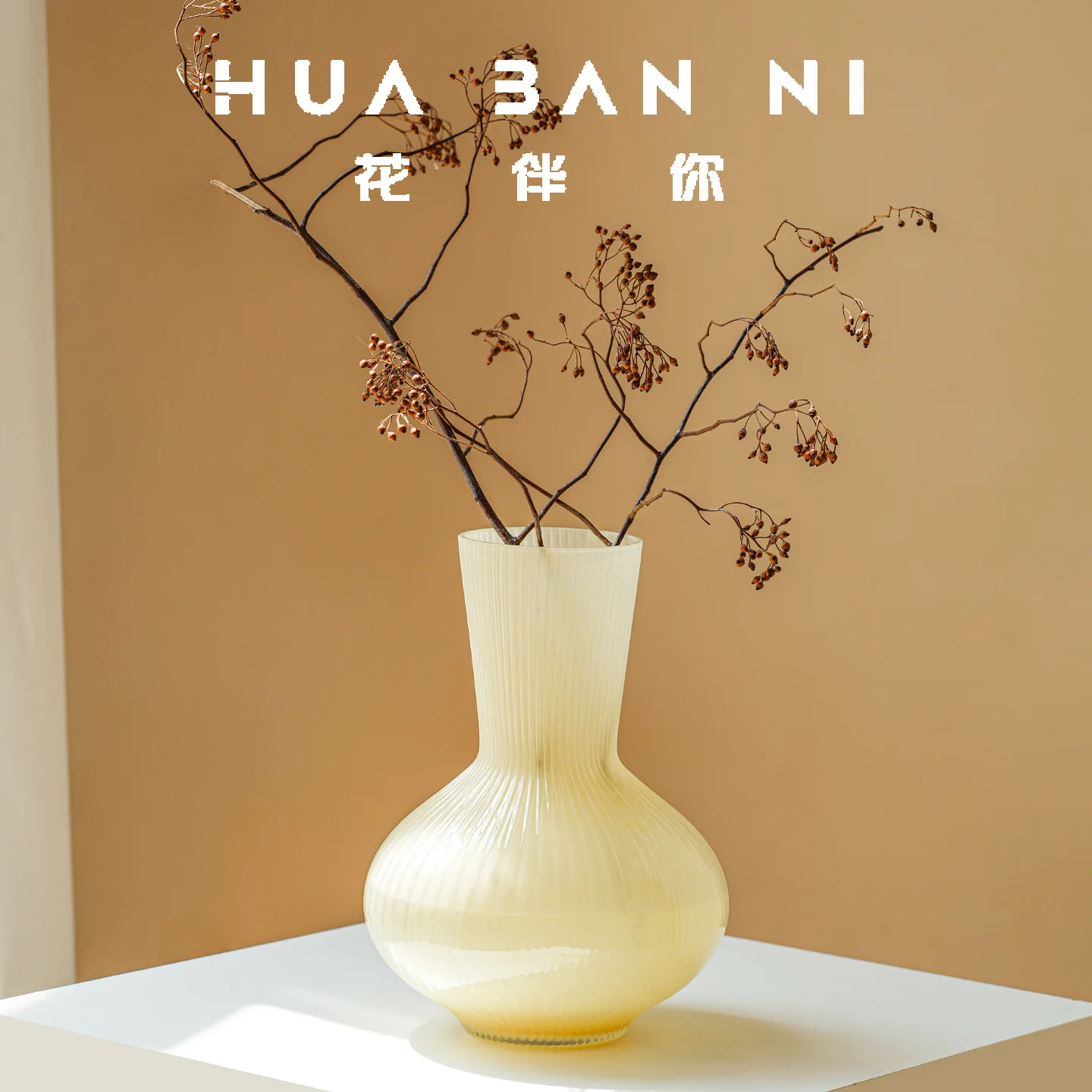 Vase Light Luxury Seniortable Living Room Hydroponics Flowers Potbelly Glass Vase High Appearance Level Decorative Ornaments