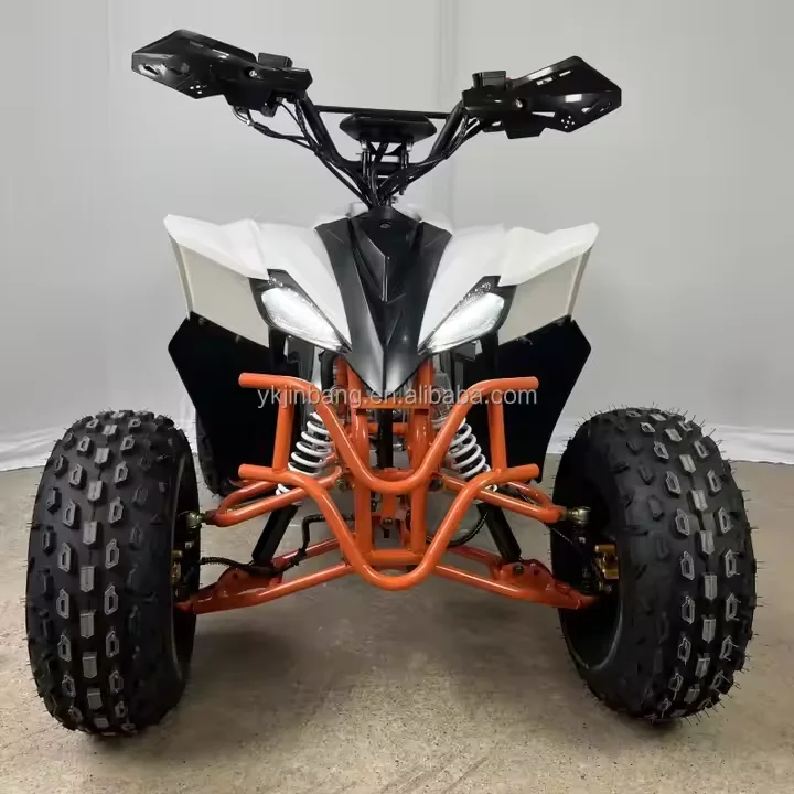 CE Approved 125cc Automatic Chain Drive Quad Bike ATV 4-Wheeler for Kids