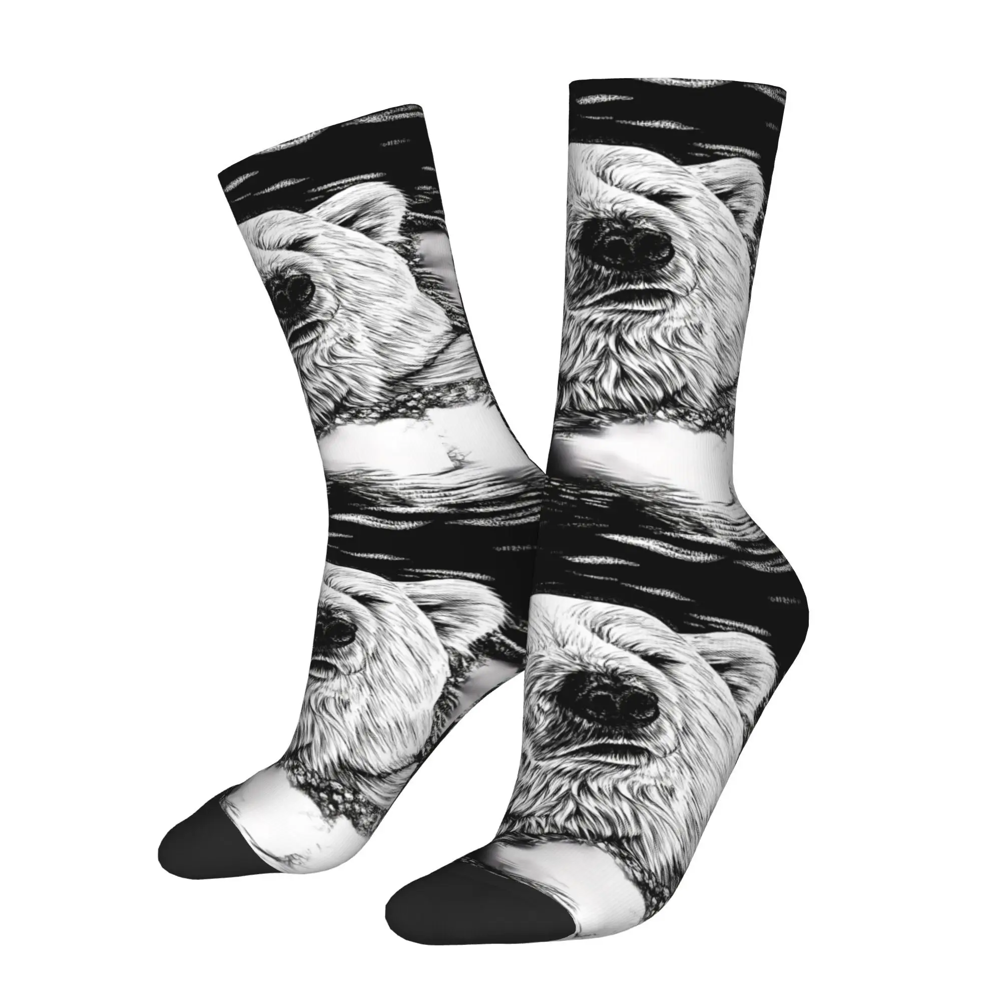 

Polar Bear Socks Male Mens Women Autumn Stockings Printed