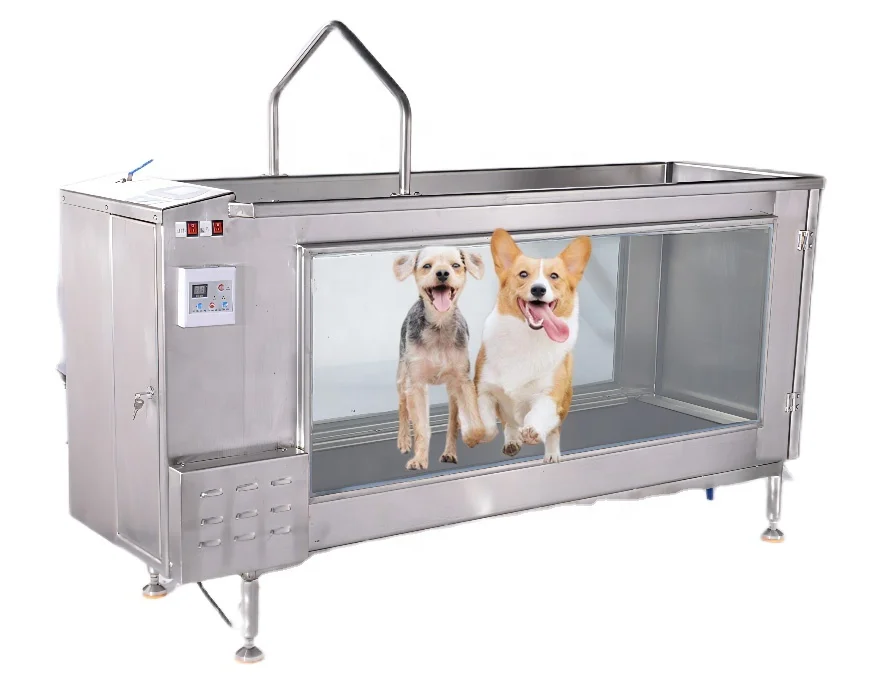 Pet Underwater Treadmill Dog Water Treadmill For Sale Underwater Treadmill Dogs