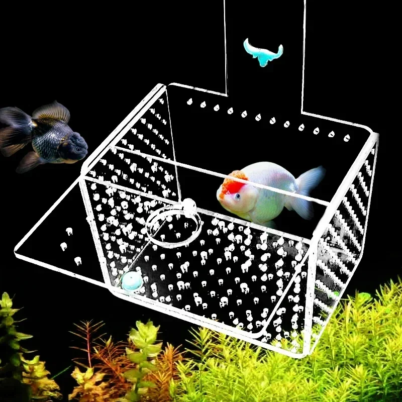 Acrylic Fish Tank Isolation Box for Small Fish And Suspended Fry 1/3mm Caliber Breeding Protection Incubation Aquarium Accessory