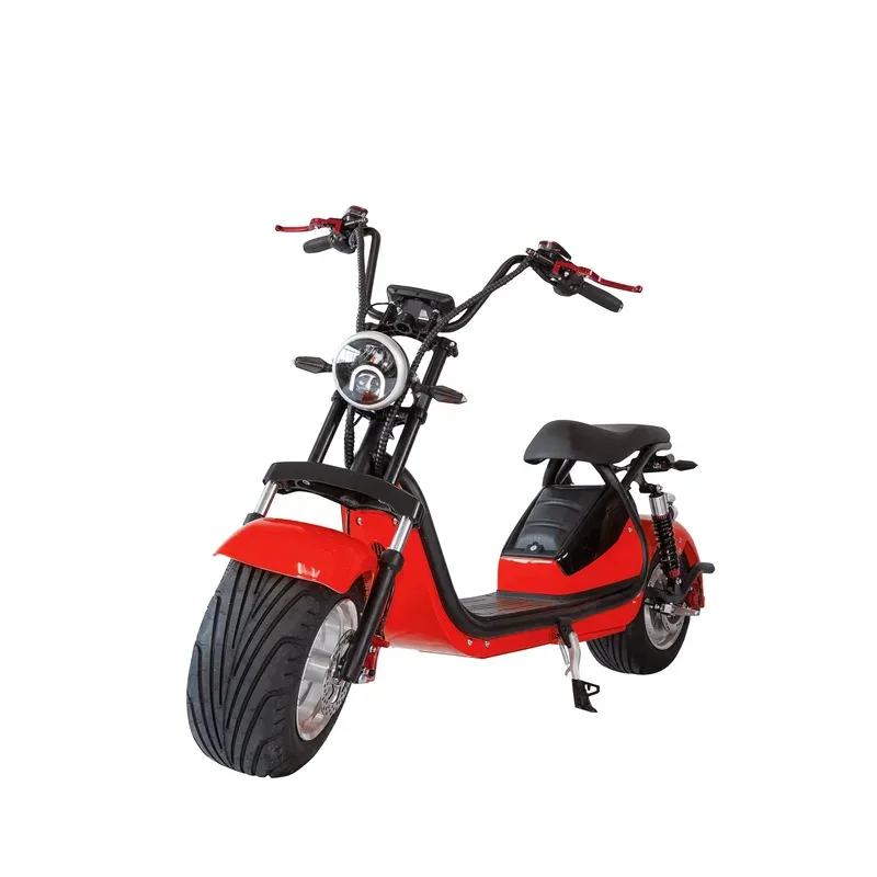 

Citycoco 21.8ah lithium battery 2 wheel adult electric scooter/moped/motorcycle 1500W with removable battery