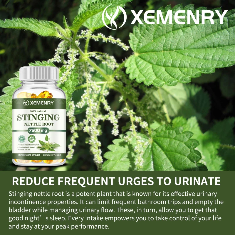 Stinging Nettle Root Capsules - Promotes Prostate and Urinary Tract Health, Reduces Urinary Frequency