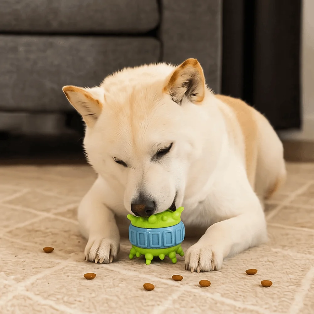 

4 Pcs/set Bite Resistant Interactive Dog Toys Wear Resistant Colorful Dog Food Dispensing Toy TPR Teeth Cleaning Toy