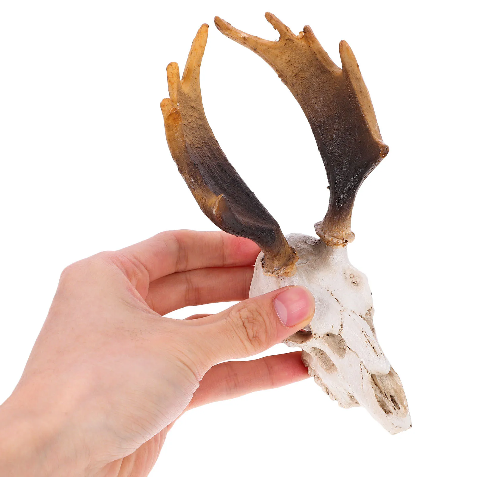 

Resin Deer Skull Reptile Cave Pet Shelter Landscape Decoration Fine Workmanship Unique Artistic Atmosphere Reptile Hide