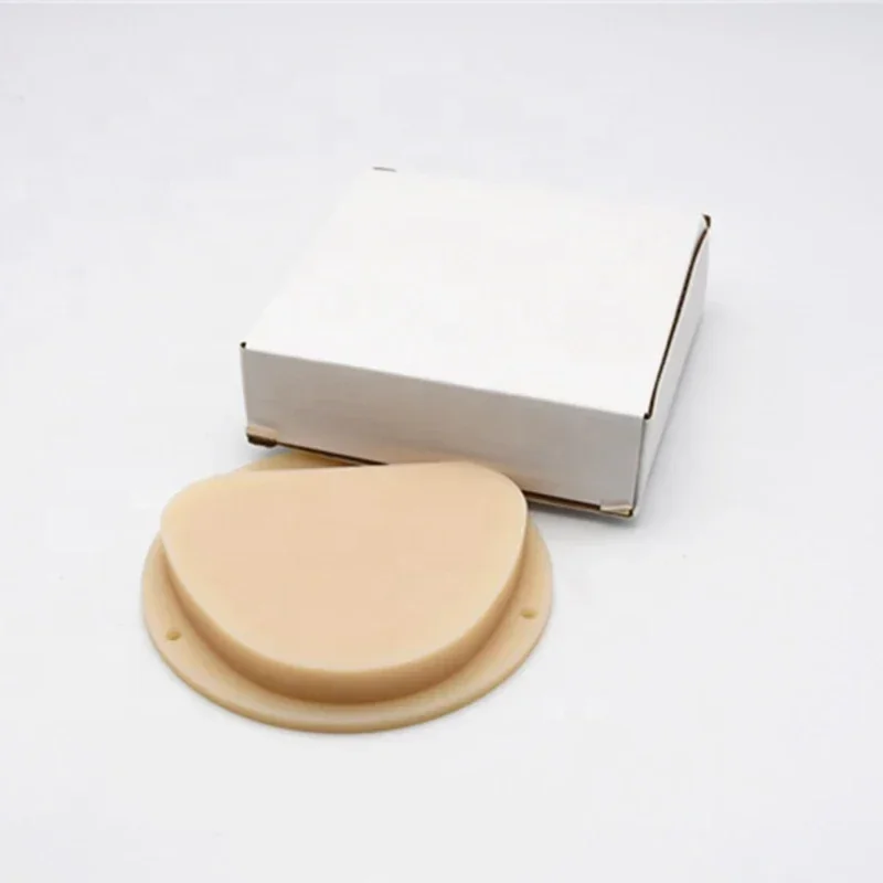 

A High Quality 89*71*10mm~25mm Multilayer Amann Girrbach Dental Pmma Block