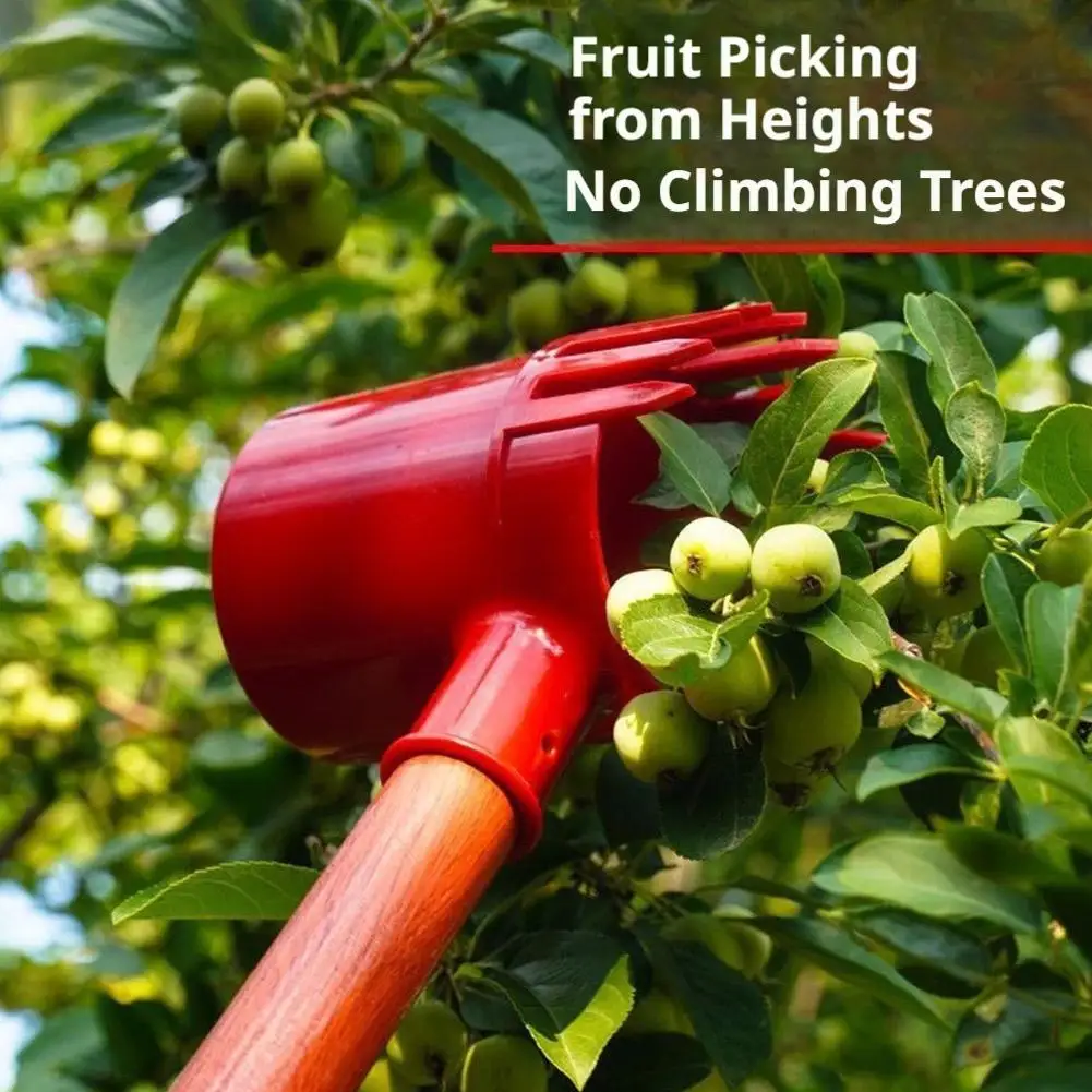 

Farm Garden Picker Protects Fruit From Damage Garden Tools Deep Basket Fruit Picker Head For Homeowners Outdoors Backyard 2026
