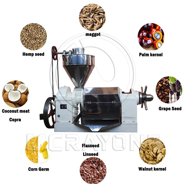 BEST Selling Palm Kernel Crushing Machine Palm Kernel Oil Extraction Machine Palm Kernel Shell Separator Machine