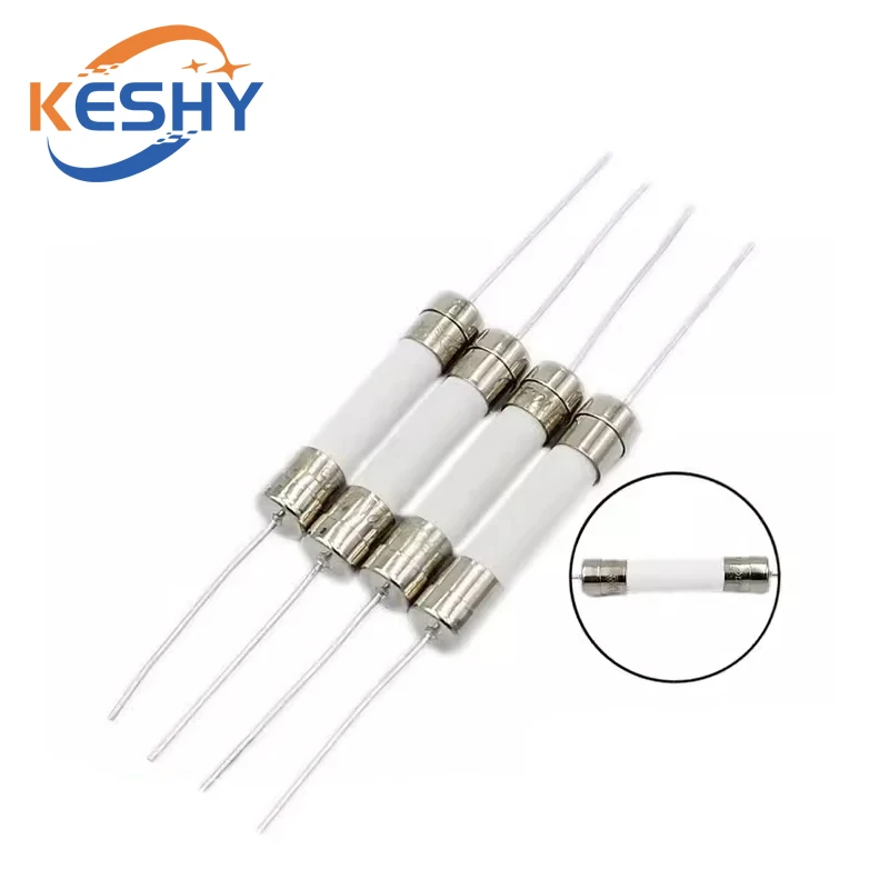 10PCS 6*30mm Ceramic Fuse Fast Slow Blow Tube Fuse With a Pin 6X30MM 250V 8A 10A 12A 15A 20A 25A 30A
