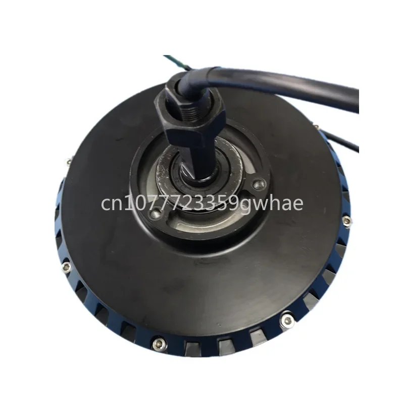 2000W high-power unilateral shaft hub motor golf cart motor 48V/60V brushless DC motor