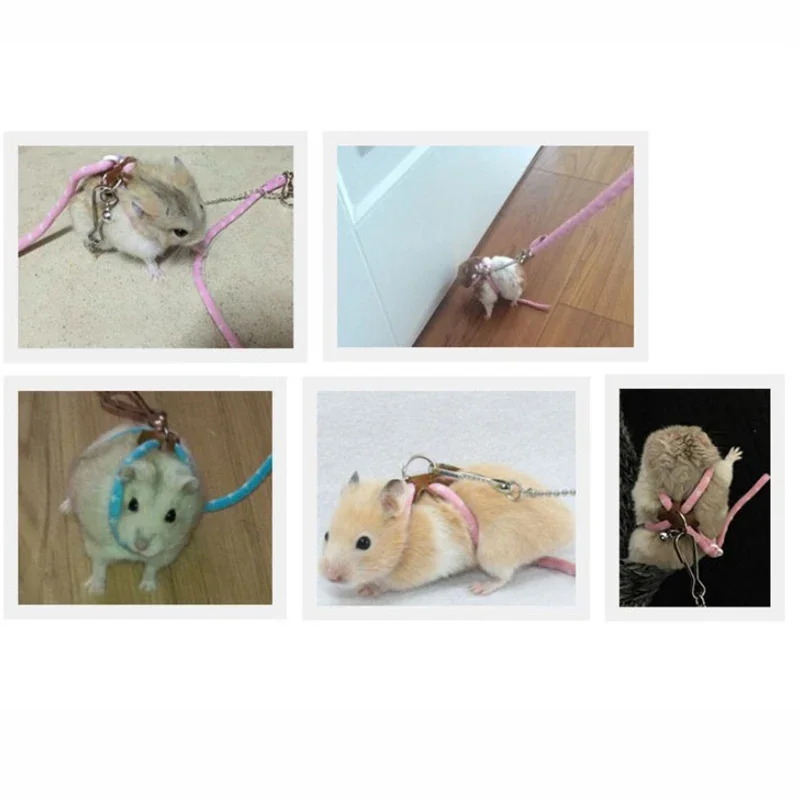 Small Pet Adjustable Soft Harness Leash Bird Parrot Mouse Hamster Ferrets Rat Pet Pig Safety Belt Retractable Leash for Pet