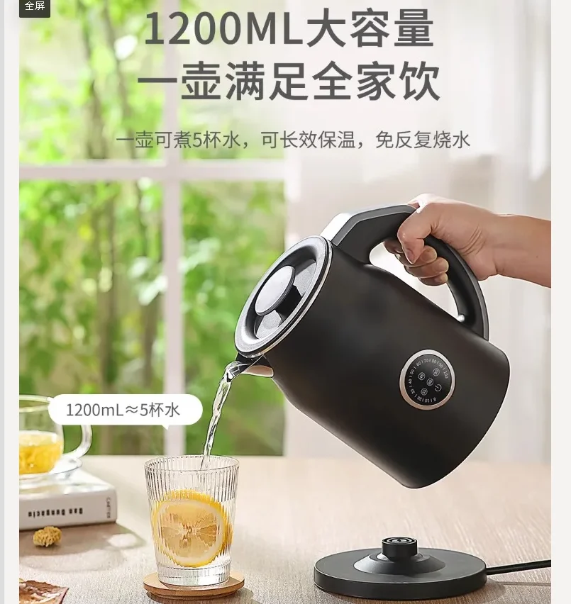 110V/220V Electric … - image