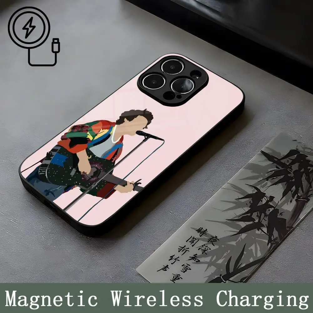 Singer H-HaRRy S-Styles Strong Magnetism Glass For iPhone 16ProMax 14 15 13 12 15 11 Pro Max Plus Mini Coque