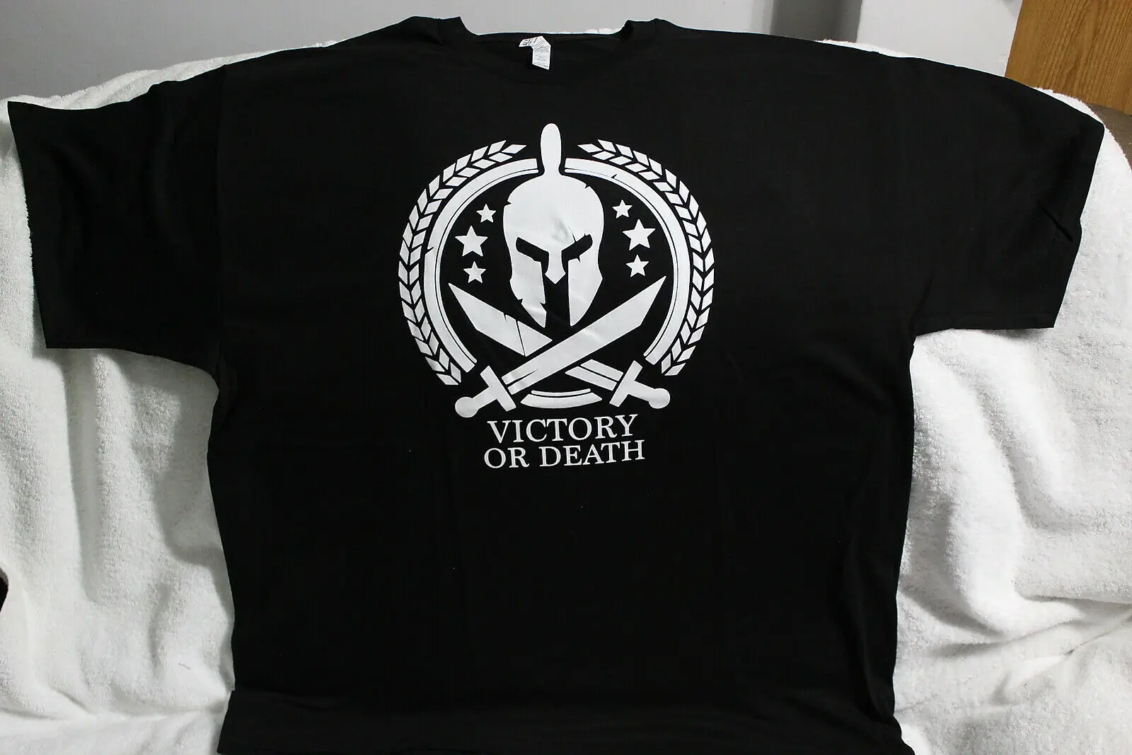 SPARTAN HELMET CROSS SWORDS VICTORY OR DEATH T-SHIRT