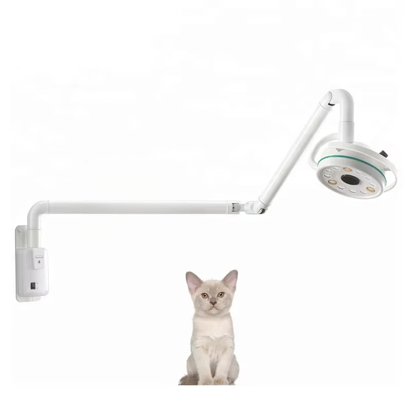 

EUR PET Factory Price Clinic Ceiling Led Exam Light Superior Quality Veterinary Equipment Medical Surgery Lights