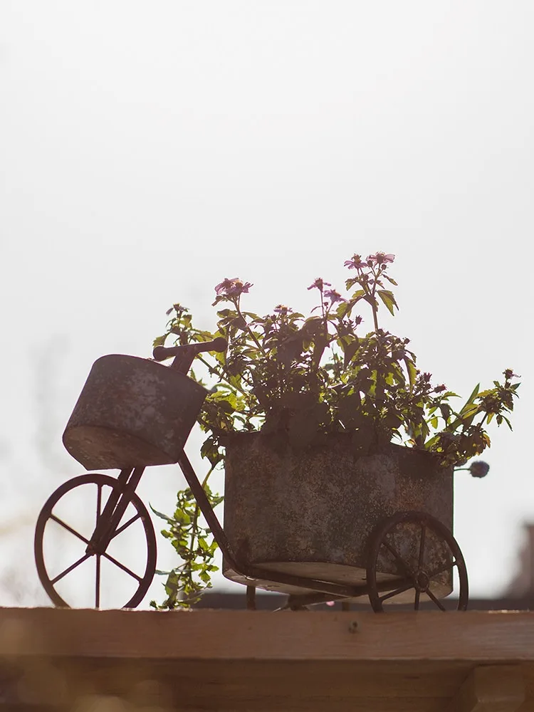 Bicycle Wrought Iron Flower Pot Retro Villa Courtyard Flower Arrangement Succulent Flower Pots Car Ornament Vasos Para Plantas