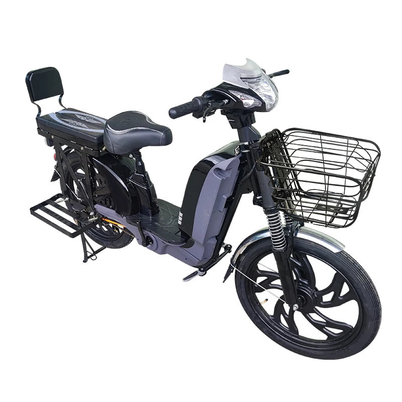 Manufacturer,OEM,22 Inch Heavy Type Delivery Electric Bicycle Household E-bike 800W Lithium Battery  Cargo Electric Bike,Rider