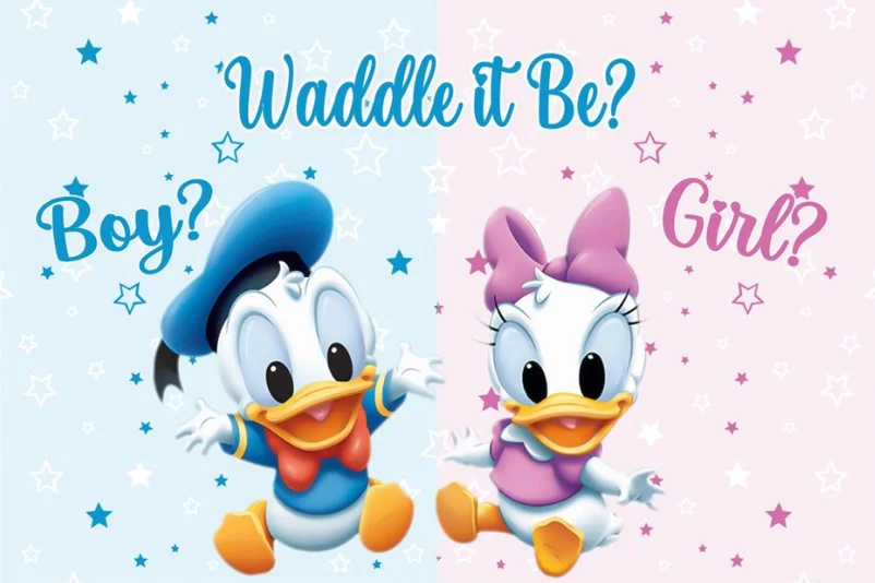 Gender Reveal Donald Duck Boy or Girl Photocall Backdrop Newborn Baby Shower for Photography Background Decor Photo Studio Props