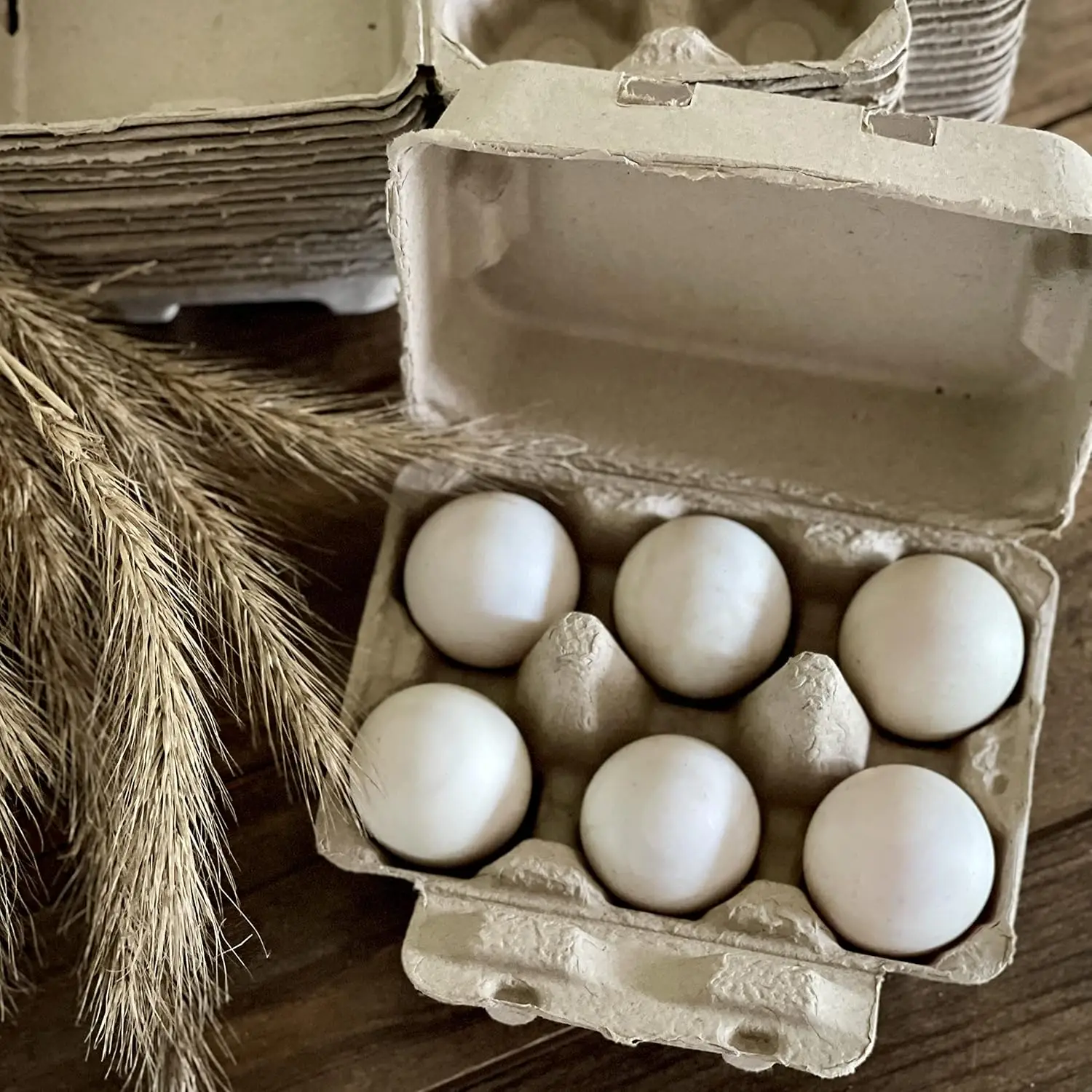 Duck Egg Cartons- Holds Half Dozen Jumbo Eggs