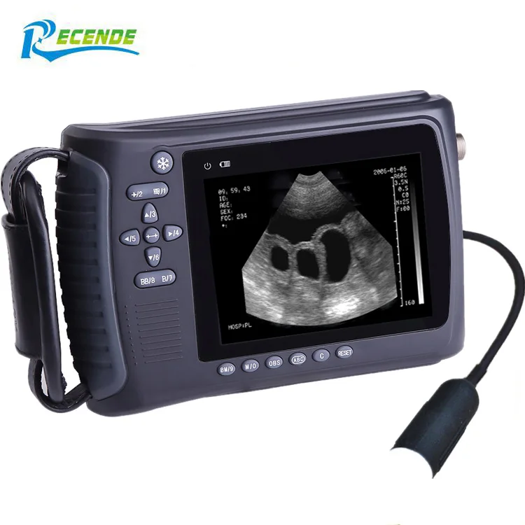 

BO-VBO1J Portable Veterinary Ultrasound Machine / Veterinary Ultrasound Machine with CE, ISO Approved