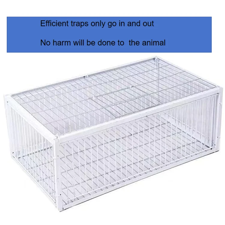 Pigeon Trap Auto Trap Bird Cage One-way Design for Entry but Not Exit, Bird Traps for Small Birds, Sparrow Trap