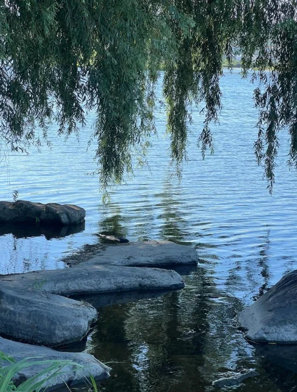 

Наружный водонепроницаемый замок с отпечатками пальцев, электрические замки на ободе, пароль от отпечатков пальцев, ключ с IC-картой, разблокировка интеллектуального дверного замка