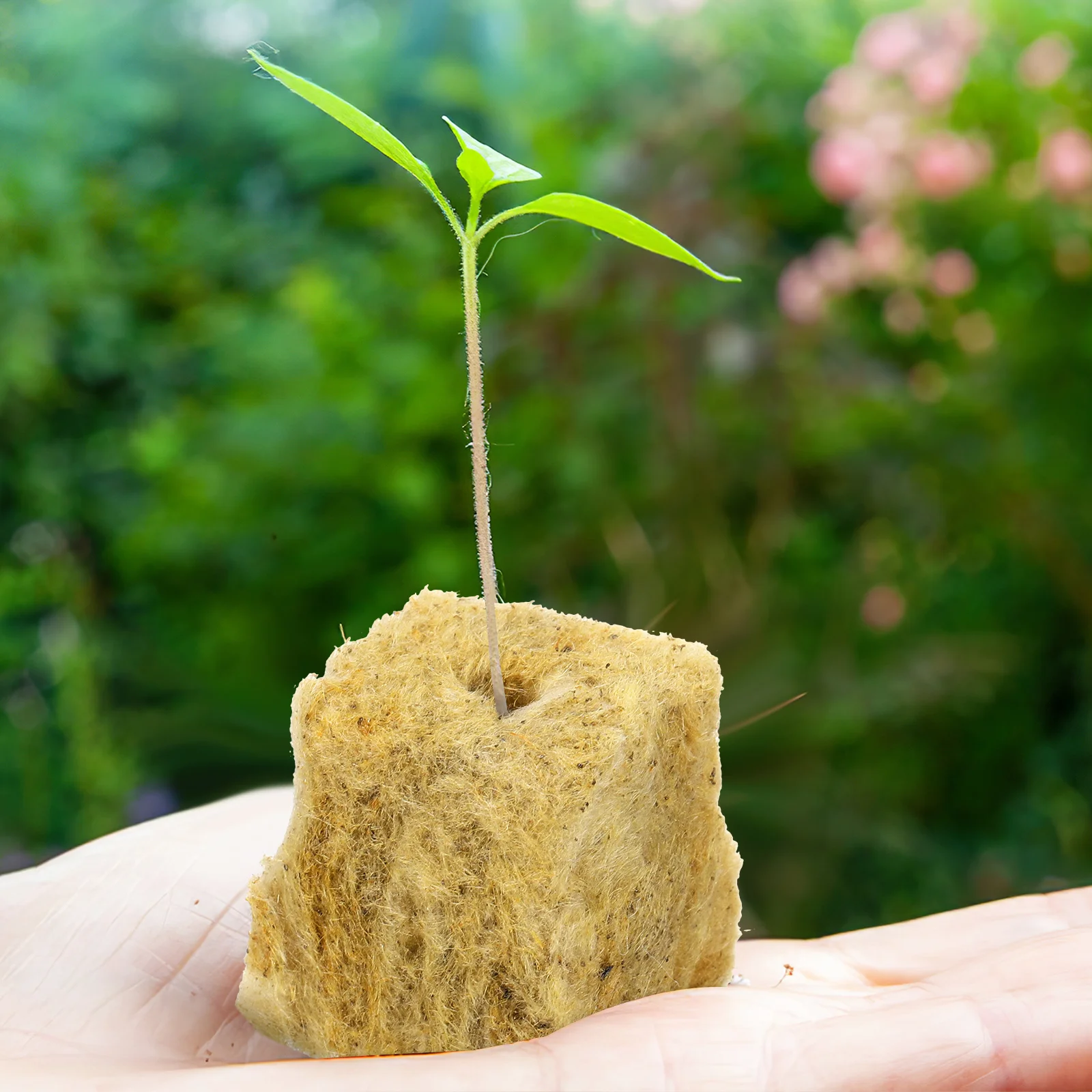 

100Pcs Seed Starter Cubes Fiber Plant Grow Plugs for Hydroponic Propagation Soilless Culture Soil Plant Start Plugs