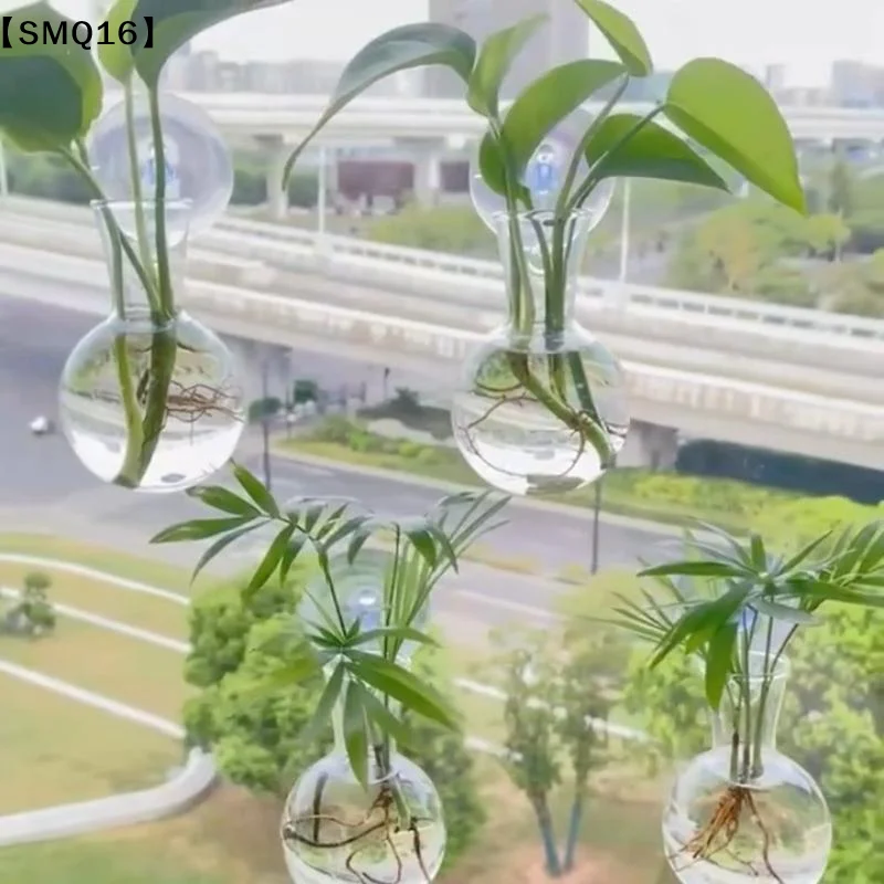 Mini bouteilles murales pour l - Propagation Station Vase avis et prix