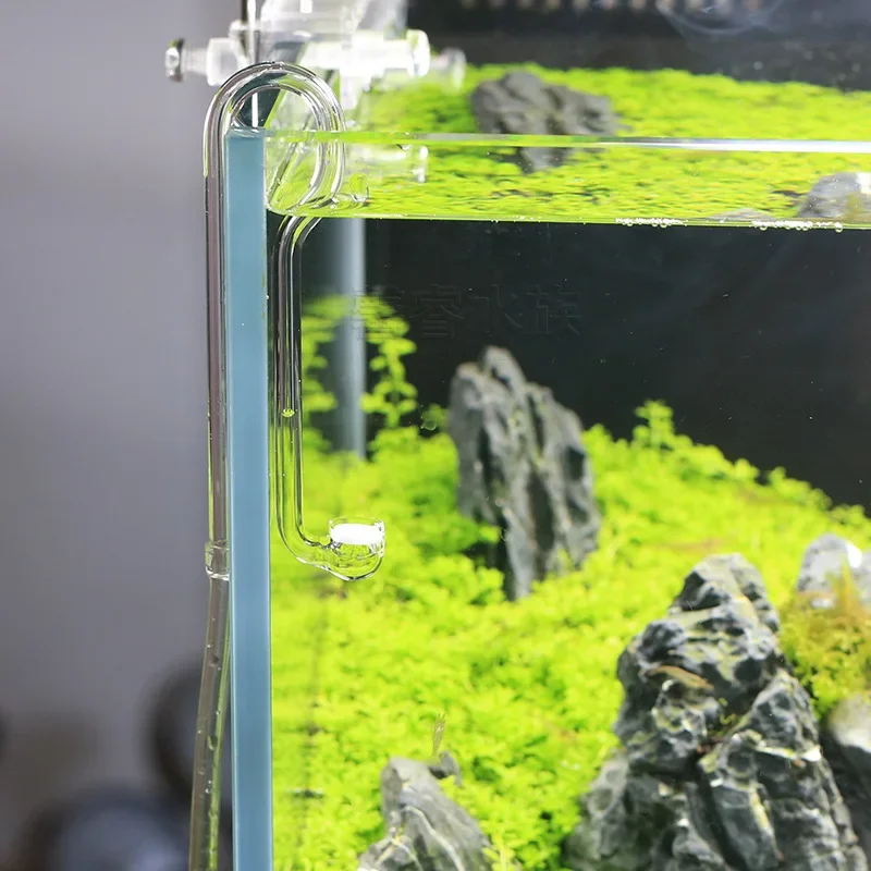VIV New Round Bottom Glass Thinner Φ30/Φ40/Φ50 Three Specifications Thinner Aquarium Accessories Fish Tank