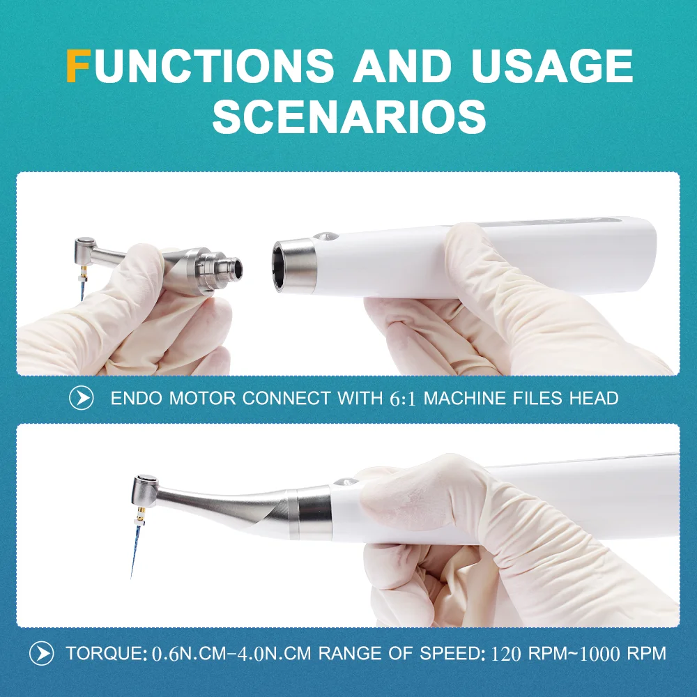 Endomotore dentale Localizzatore apicale incorporato 6:1 Contraangolo Localizzatore apico endodontico Strumenti per odontoiatria endo per il trattamento del canale radicolare