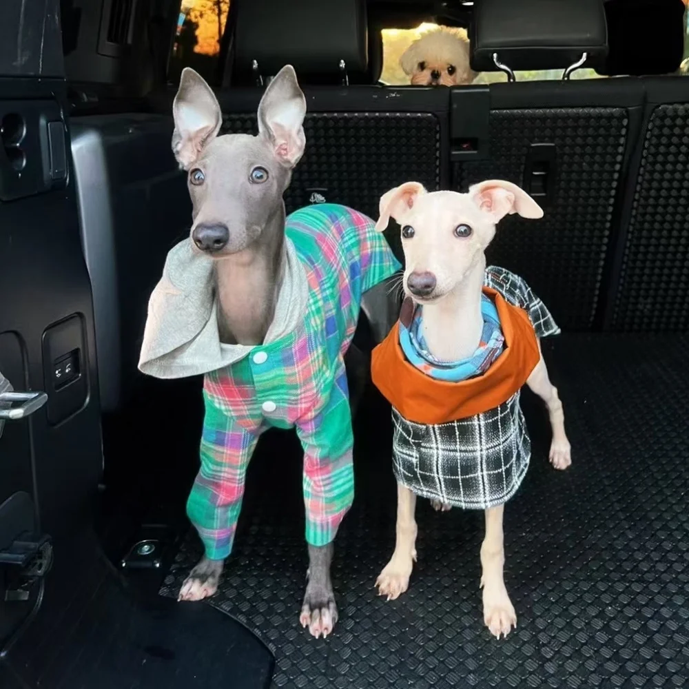 Chemise à capuche en coton à carreaux vert à la mode pour l’Italie lévrier Huibit vêtements Manteau doux d’automne pour chien Bedlington terrier au printemps