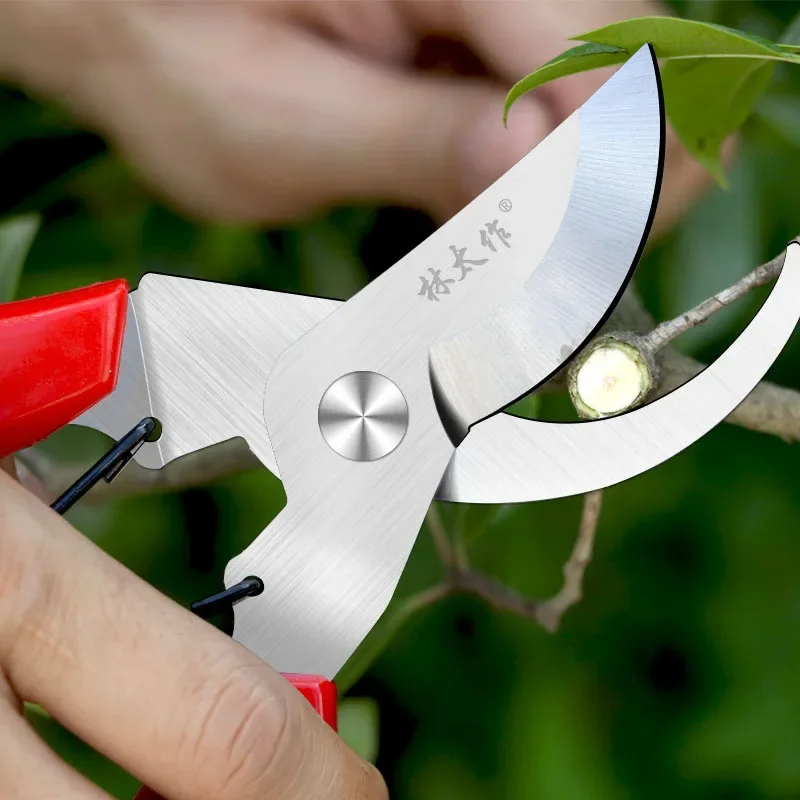 Pruner Garden Scissors Professional Sharp Bypass Pruning Shears Tree Trimmers Secateurs Hand Clippers For Garden Beak Scissors