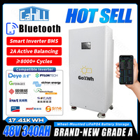 Grade A 48V 340AH Lifepo4 Battery Pack 2A Active Balancing With BT LCD 16S 200A BMS 51.2V batteri For Home Energy Storage System